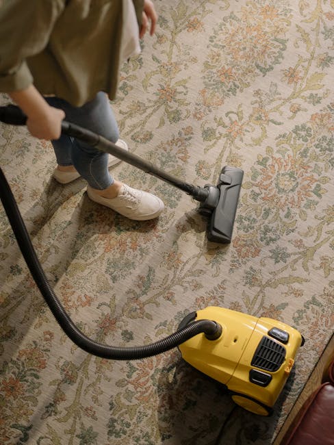 A person vacuuming a traditional patterned carpet in a residential room, with a yellow vacuum cleaner powered on nearby. The individual is wearing beige shoes, blue jeans, and a brown coat, and is using a handheld vacuum wand to clean the carpet's surface. The carpet features a floral motif with muted cream, green, and orange tones, and is situated on a wooden floor with natural lighting illuminating the area. The scene showcases routine surface cleaning typical of domestic deep cleaning services, with Belgravia Carpet Cleaning providing professional sanitisation and maintenance in a home environment.