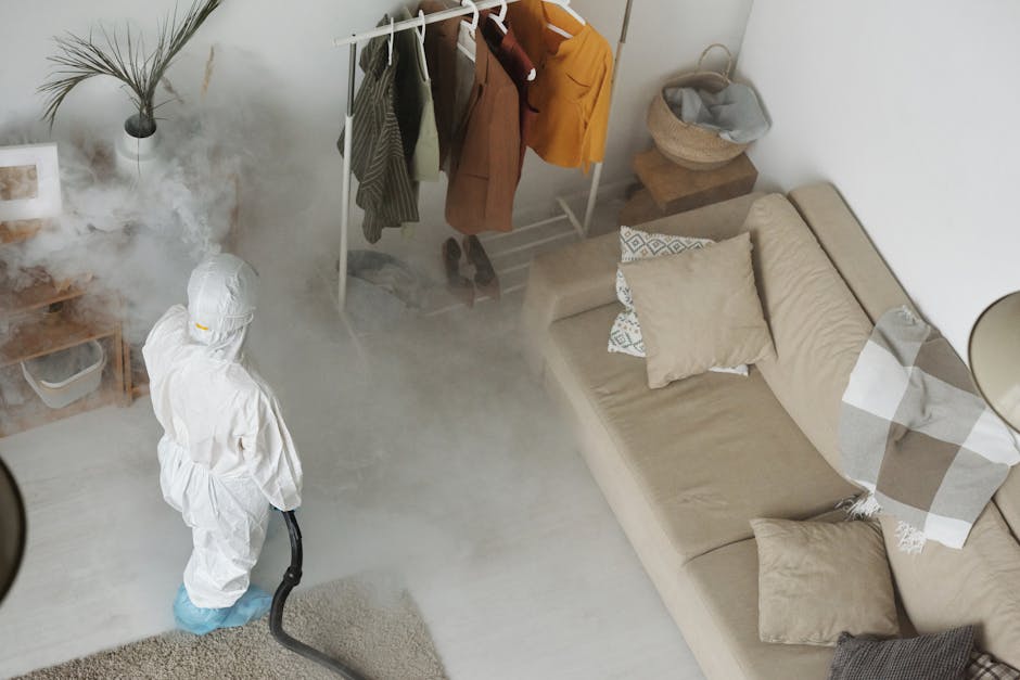 An indoor residential living room scene showing a person in protective white suit, face mask, and gloves using a professional steam cleaning machine to perform deep cleaning and sanitisation of a beige fabric sofa. The room features a wooden floor, a beige sofa with multiple cushions, and a wall-mounted lamp. Nearby, there is a small wooden side table with a potted plant, and a clothing rack with hanging garments, including a beige coat and a mustard jacket. Bright natural light illuminates the space, highlighting the clean and freshly maintained surfaces. The cleaning process appears thorough, with steam mist visible around the person, reflecting effective surface cleaning by Belgravia Carpet Cleaning.